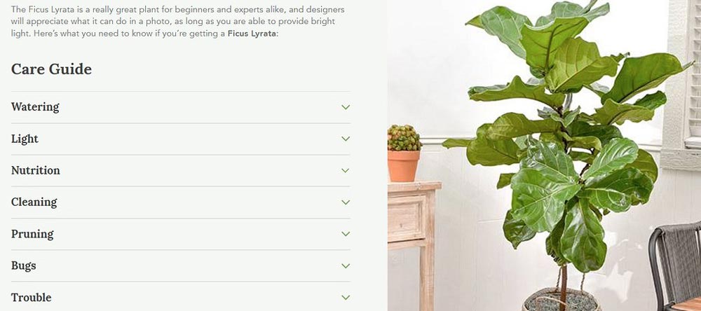 Benefits of using a site to sell houseplants - 0 تا 100 طراحی سایت فروش گیاهان آپارتمانی در بندرعباس