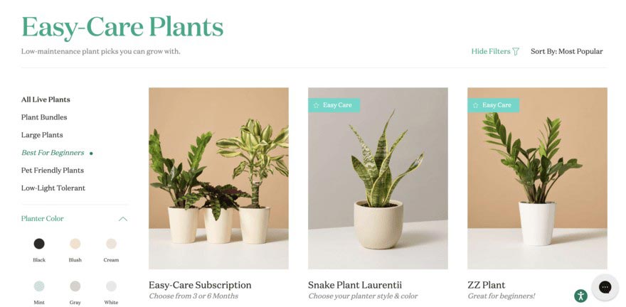 Ways to increase houseplant sales through your website - 0 تا 100 طراحی سایت فروش گیاهان آپارتمانی در بندرعباس