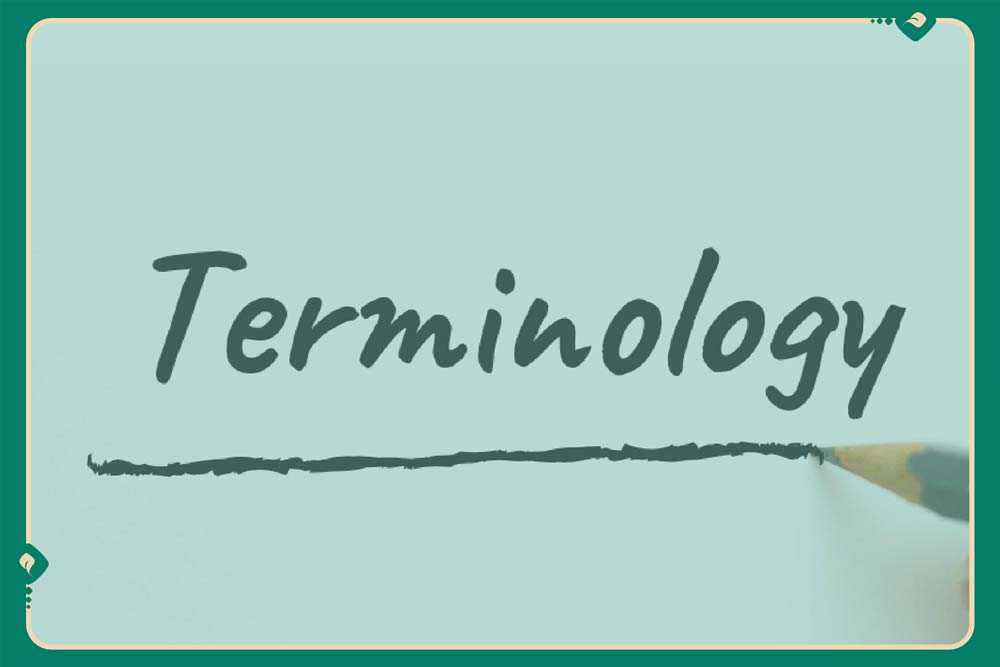 ترمینولوژی یا Terminology چیست ؟