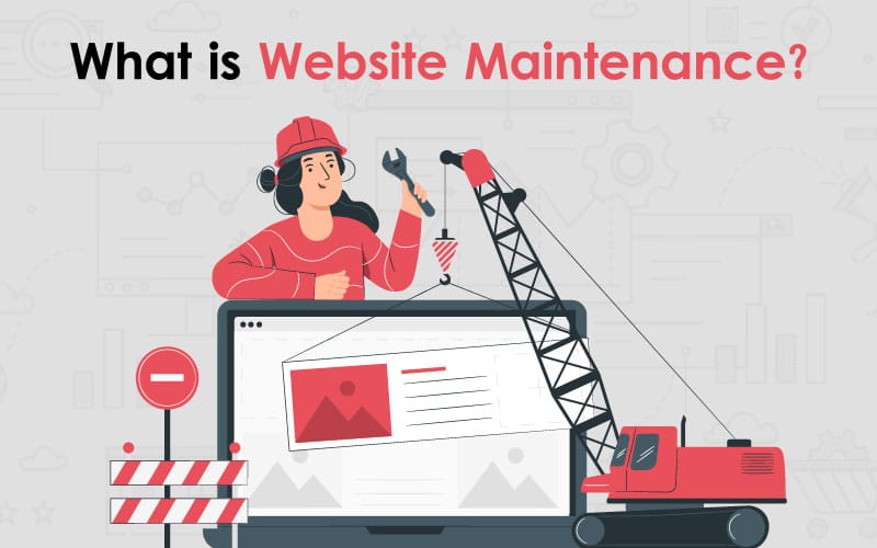Website establishment and maintenance blog 4 | ماجرا | Majara