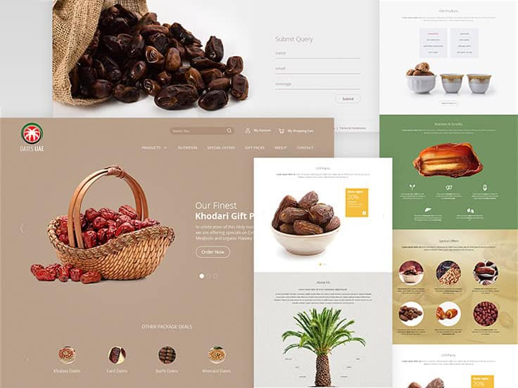 Date fruit sales website design blog 1 | ماجرا | Majara