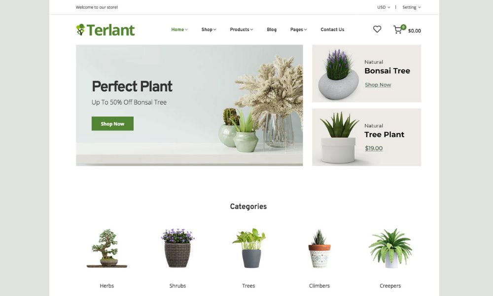 The importance of website design for selling houseplants | ماجرا | Majara