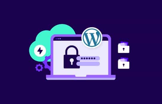 Criteria for choosing the best security plugin | ماجرا | Majara