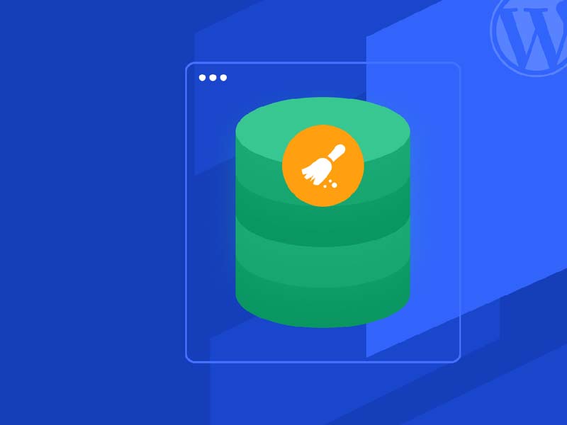 Optimize and Clean Up Your Database with WP Rocket | ماجرا | Majara