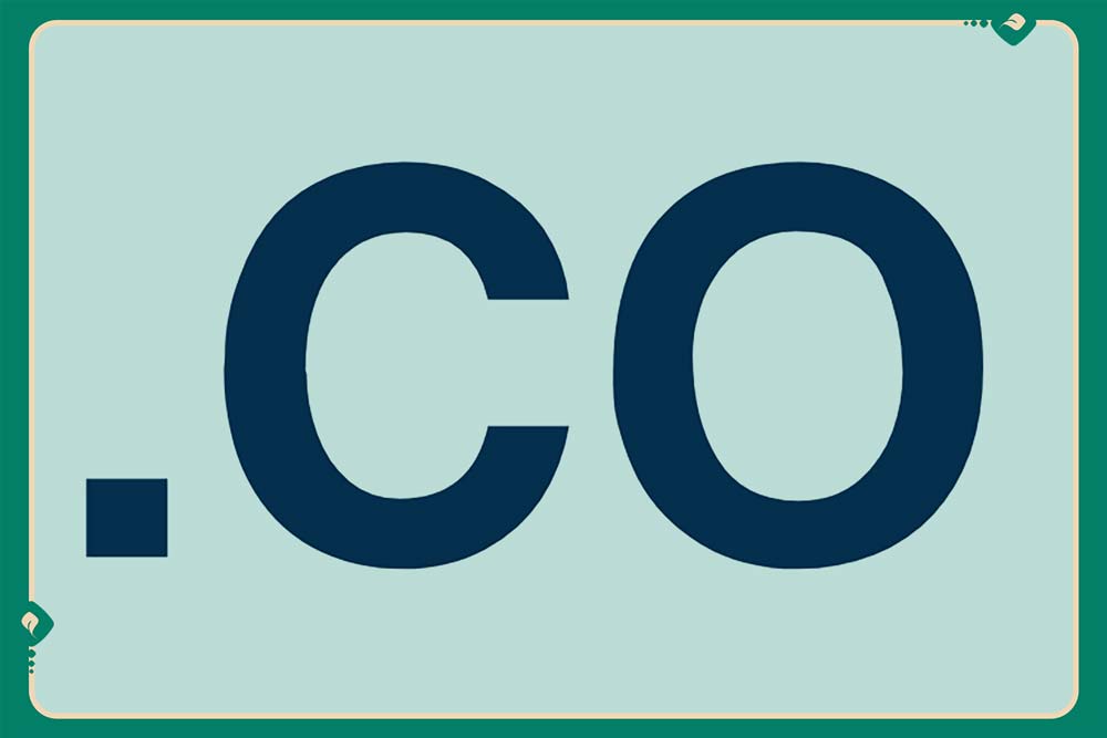 راهنمای انتخاب و خرید دامنه CO
